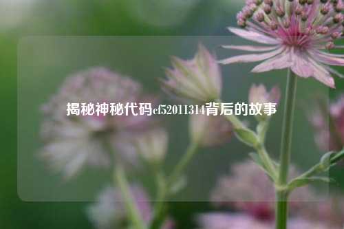 揭秘神秘代码cf52011314背后的故事
