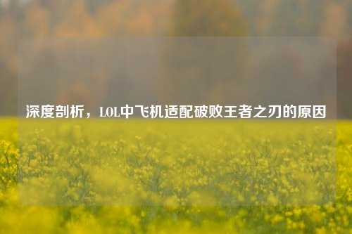 深度剖析,LOL中飞机适配破败王者之刃的原因