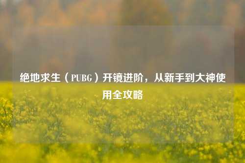 绝地求生(PUBG)开镜进阶,从新手到大神使用全攻略