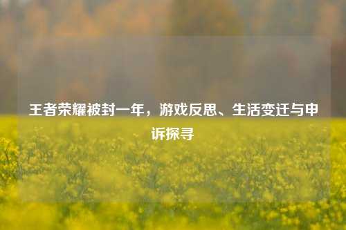 王者荣耀被封一年，游戏反思、生活变迁与申诉探寻