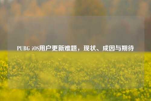 PUBG iOS用户更新难题,现状、成因与期待