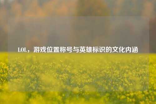 LOL，游戏位置称号与英雄标识的文化内涵