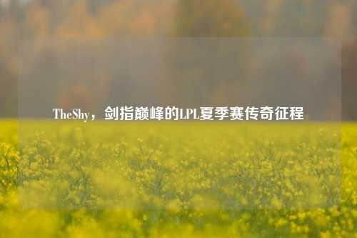 TheShy,剑指巅峰的LPL夏季赛传奇征程