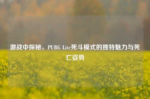 激战中探秘，PUBG Lite死斗模式的独特魅力与死亡姿势