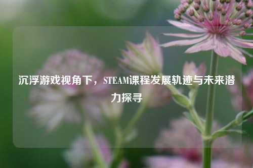 沉浮游戏视角下，STEAM课程发展轨迹与未来潜力探寻