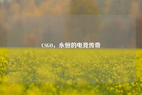 CSGO，永恒的电竞传奇
