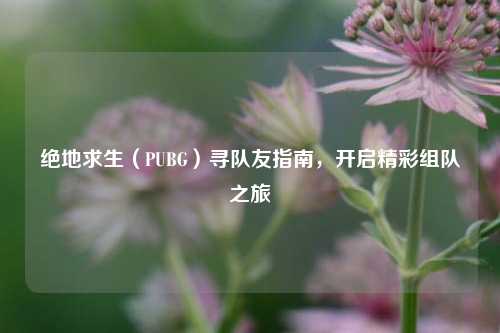 绝地求生(PUBG)寻队友指南,开启精彩组队之旅