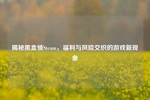 揭秘黑盒领Steam,福利与风险交织的游戏新现象