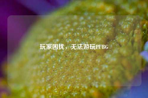 玩家困扰，无法游玩PUBG