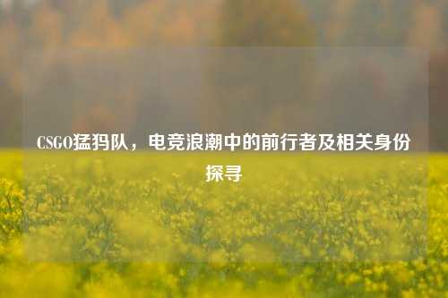 CSGO猛犸队,电竞浪潮中的前行者及相关身份探寻