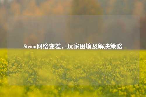 Steam *** 变差,玩家困境及解决策略