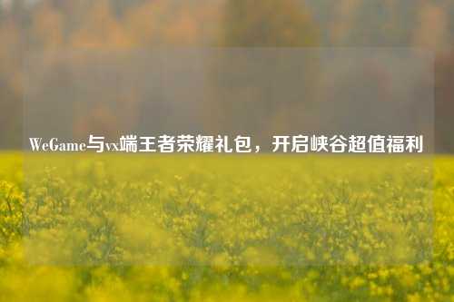 WeGame与vx端王者荣耀礼包,开启峡谷超值福利