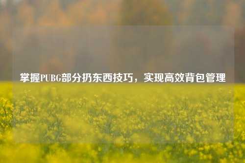 掌握PUBG部分扔东西技巧,实现高效背包管理