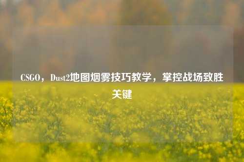 CSGO，Dust2地图烟雾技巧教学，掌控战场致胜关键