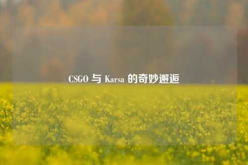 CSGO 与 Karsa 的奇妙邂逅