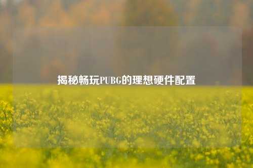 揭秘畅玩PUBG的理想硬件配置