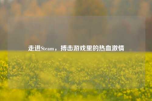 走进Steam,搏击游戏里的热血 ***