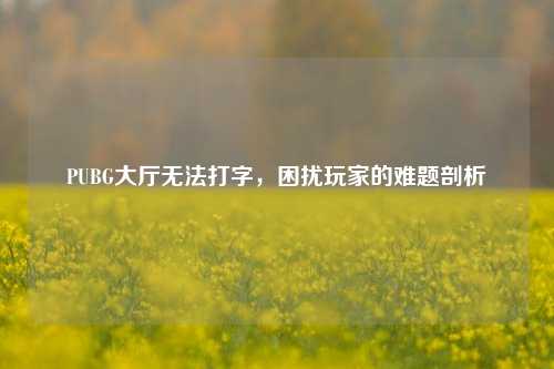 PUBG大厅无法打字,困扰玩家的难题剖析