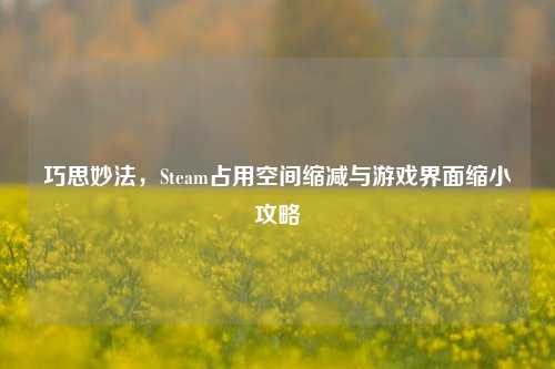 巧思妙法,Steam占用空间缩减与游戏界面缩小攻略