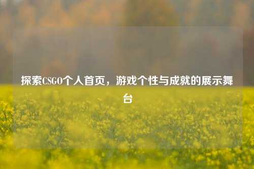 探索CSGO个人首页,游戏个性与成就的展示舞台