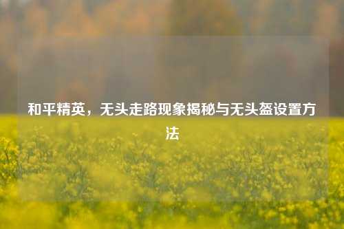 和平精英,无头走路现象揭秘与无头盔设置 ***