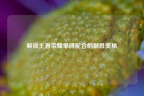 解锁王者荣耀单牌配合的制胜奥秘