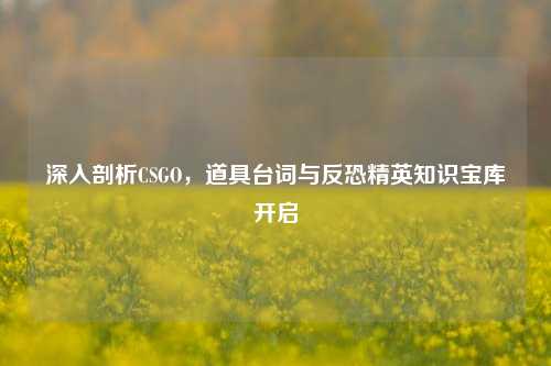 深入剖析CSGO,道具台词与反恐精英知识宝库开启