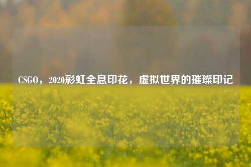 CSGO，2020彩虹全息印花，虚拟世界的璀璨印记