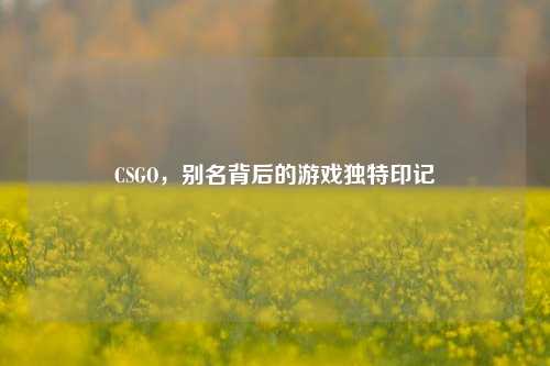 CSGO，别名背后的游戏独特印记