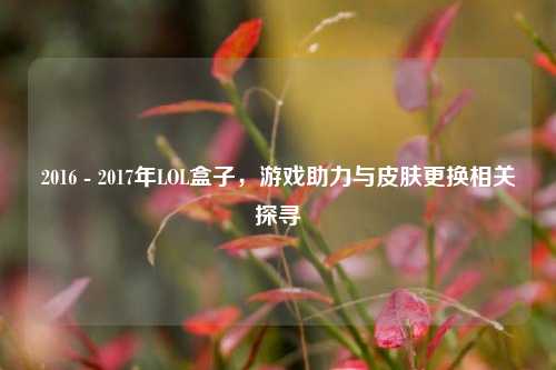 2016 - 2017年LOL盒子，游戏助力与皮肤更换相关探寻