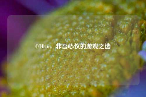 COD16，非吾心仪的游戏之选