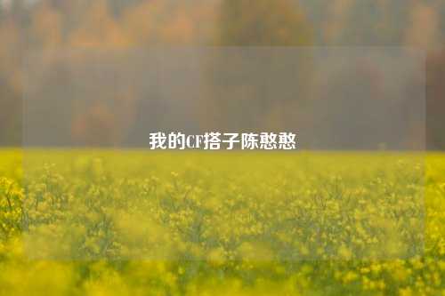 我的CF搭子陈憨憨