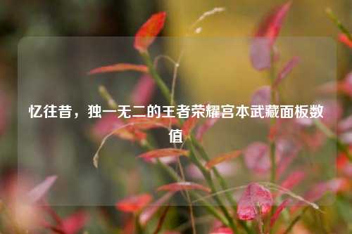 忆往昔，独一无二的王者荣耀宫本武藏面板数值