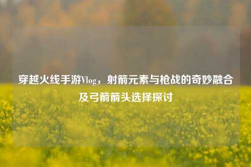 穿越火线手游Vlog，射箭元素与枪战的奇妙融合及弓箭箭头选择探讨