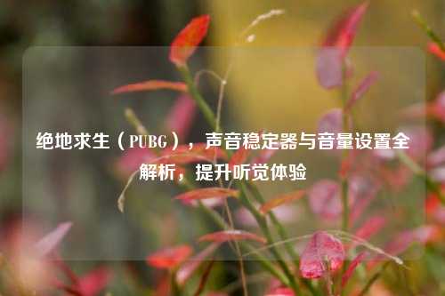 绝地求生(PUBG),声音稳定器与音量设置全解析,提升听觉体验
