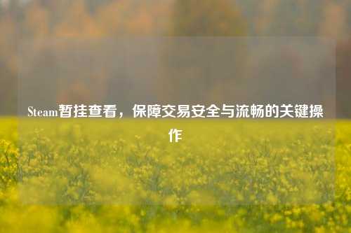 Steam暂挂查看,保障交易安全与流畅的关键操作