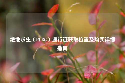 绝地求生（PUBG）通行证获取位置及购买详细指南