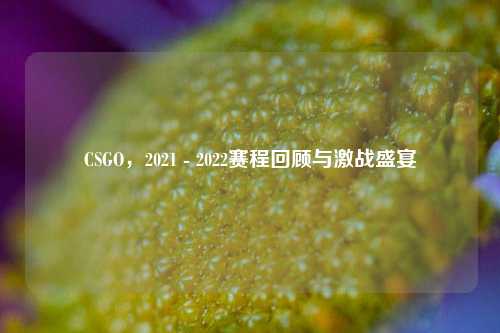 CSGO，2021 - 2022赛程回顾与激战盛宴