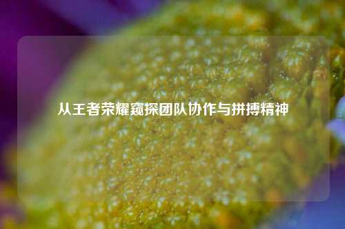 从王者荣耀窥探团队协作与拼搏精神