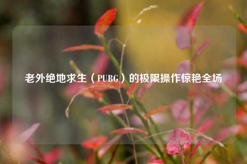 老外绝地求生(PUBG)的极限操作惊艳全场