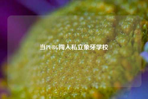 当PUBG闯入私立象牙学校