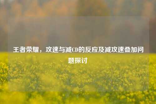 王者荣耀,攻速与减CD的反应及减攻速叠加问题探讨