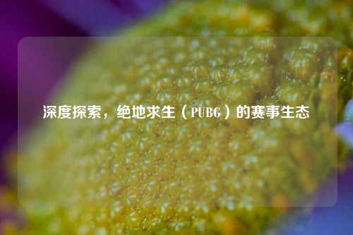 深度探索,绝地求生(PUBG)的赛事生态