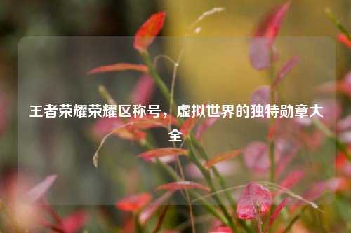 王者荣耀荣耀区称号,虚拟世界的独特勋章大全
