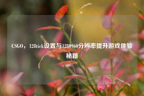 CSGO,128tick设置与1280960分辨率提升游戏体验秘籍