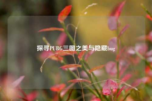 探寻PUBG三图之美与隐藏bug