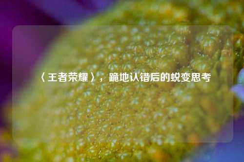 〈王者荣耀〉,跪地认错后的蜕变思考