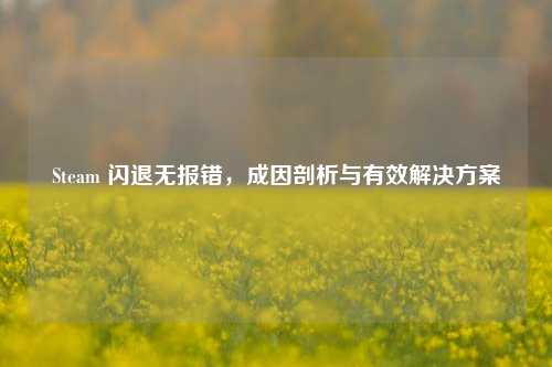 Steam 闪退无报错，成因剖析与有效解决方案