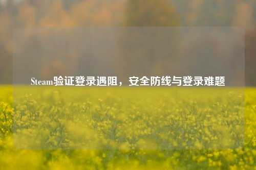 Steam验证登录遇阻，安全防线与登录难题