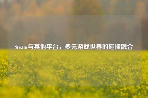 Steam与其他平台，多元游戏世界的碰撞融合